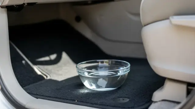 Effektive Tipps zum Gerüche Entfernen im Auto für ein angenehmes Fahrerlebnis
