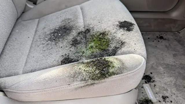 Schimmel im Auto entfernen: Tipps zur Reinigung von Polstern und Teppichen