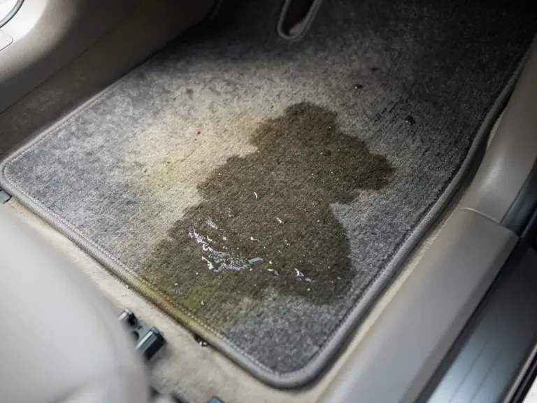 Schimmelgeruch im Auto: So werden Sie ihn los